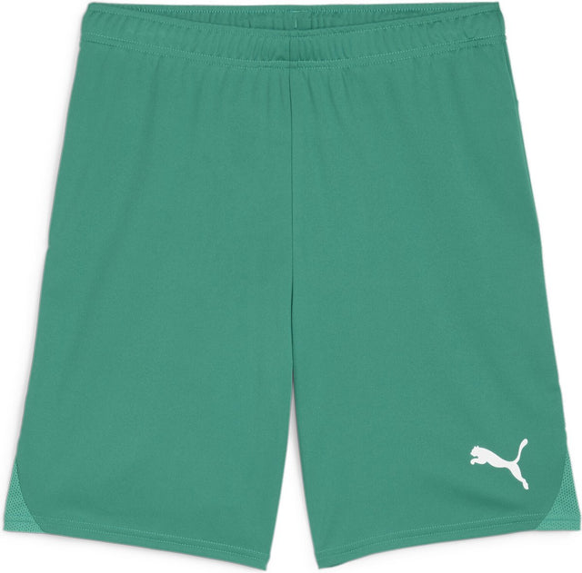 Puma Teamgoal Shorts Herren Sporthose - Sportgrün-Weiß