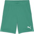 Puma teamgoal shorts heren sportbroek - sport green- white m