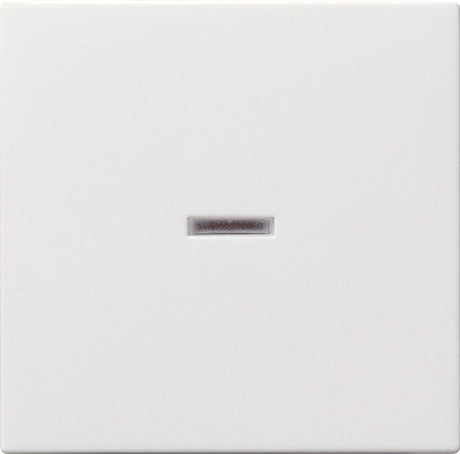 Gira System 55 Bedienelement Zentralplatte Schaltmaterial - 029003 - e2fuk