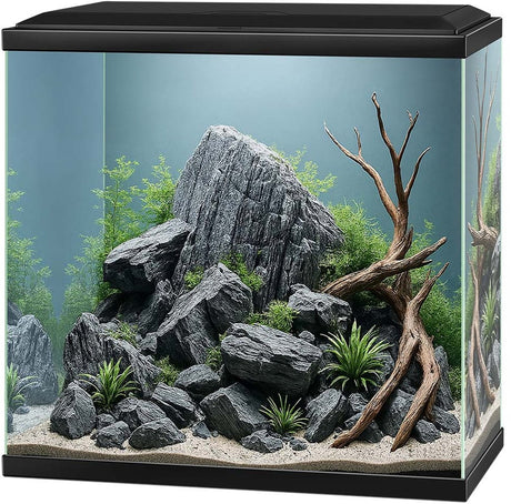 Ciano Aqua 30 LED Aquarium 25 Liter 40 x 20 x 45,5 cm schwarz
