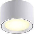 Nordlux Fallon Surface-Downlight-3-Stufen-Moodmaker™-Dimmung-weiß weiß