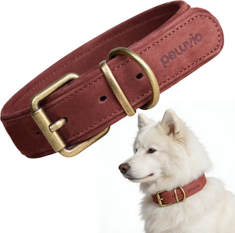 Peluvio Rexor – Hundehalsband aus Leder – braun – M-L 37–47 cm – 3,5 cm breit – verstellbares Halsband aus Rindsleder – Kupferschnalle – für größere mittelgroße Hunde