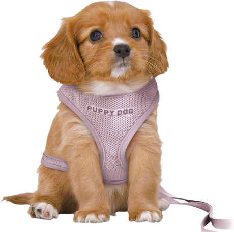Trixie - Hundegeschirr - Junior - Welpen-Softgeschirr - mit Leine - Flieder - 36-50x1 cm 2 m