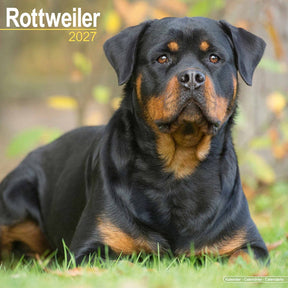Avonside rottweiler kalender 2027