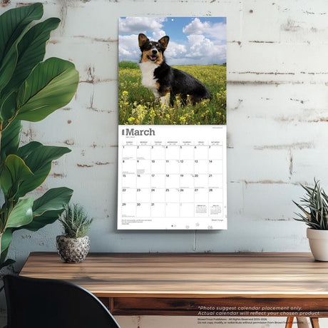 Browntrout welsh corgi kalender 2026