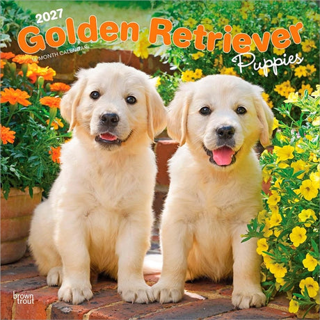Browntrout golden retriever puppies kalender 2027