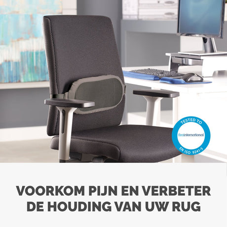 Ergonomischer Bürostuhl mit Rückenstütze von Fellowes – Lendenwirbelstützkissen – verstellbar – atmungsaktives Netz – i-spire-Serie – Grau