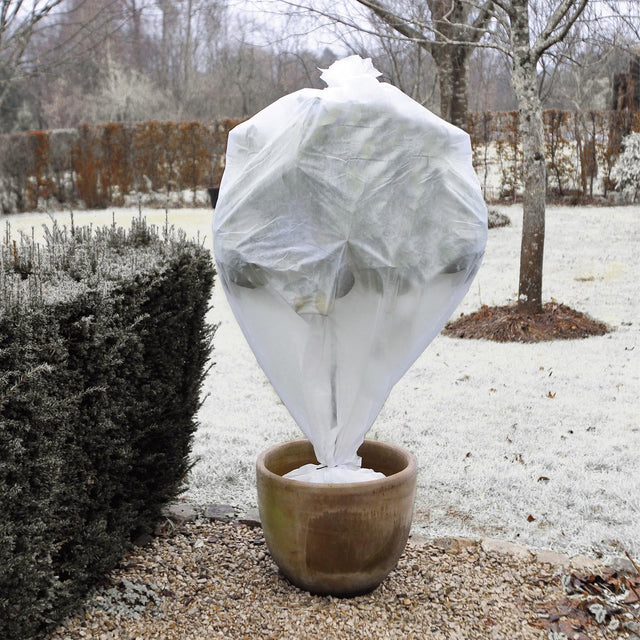 Natur - Winterabdeckvlies für Pflanzen - ø64cm x 10m - 30 g m² - Winterschutz