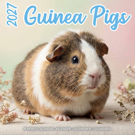 Plenty gifts cavia studio kalender 2027