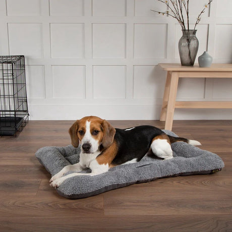 Scruffs gemütliches Bankkissen – weiches Hundekissen – rutschfest – Wildlederimitat – Grau – XS – 60 x 45 cm