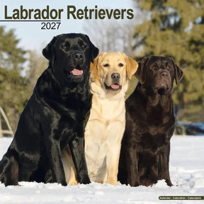 Avonside labrador retriever mixed kalender 2027