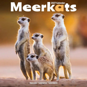Avonside stokstaartjes kalender 2027