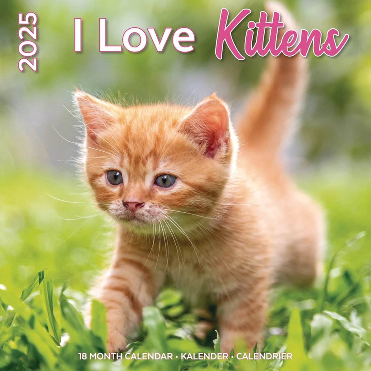 Plenty gifts i love kittens kalender 2025