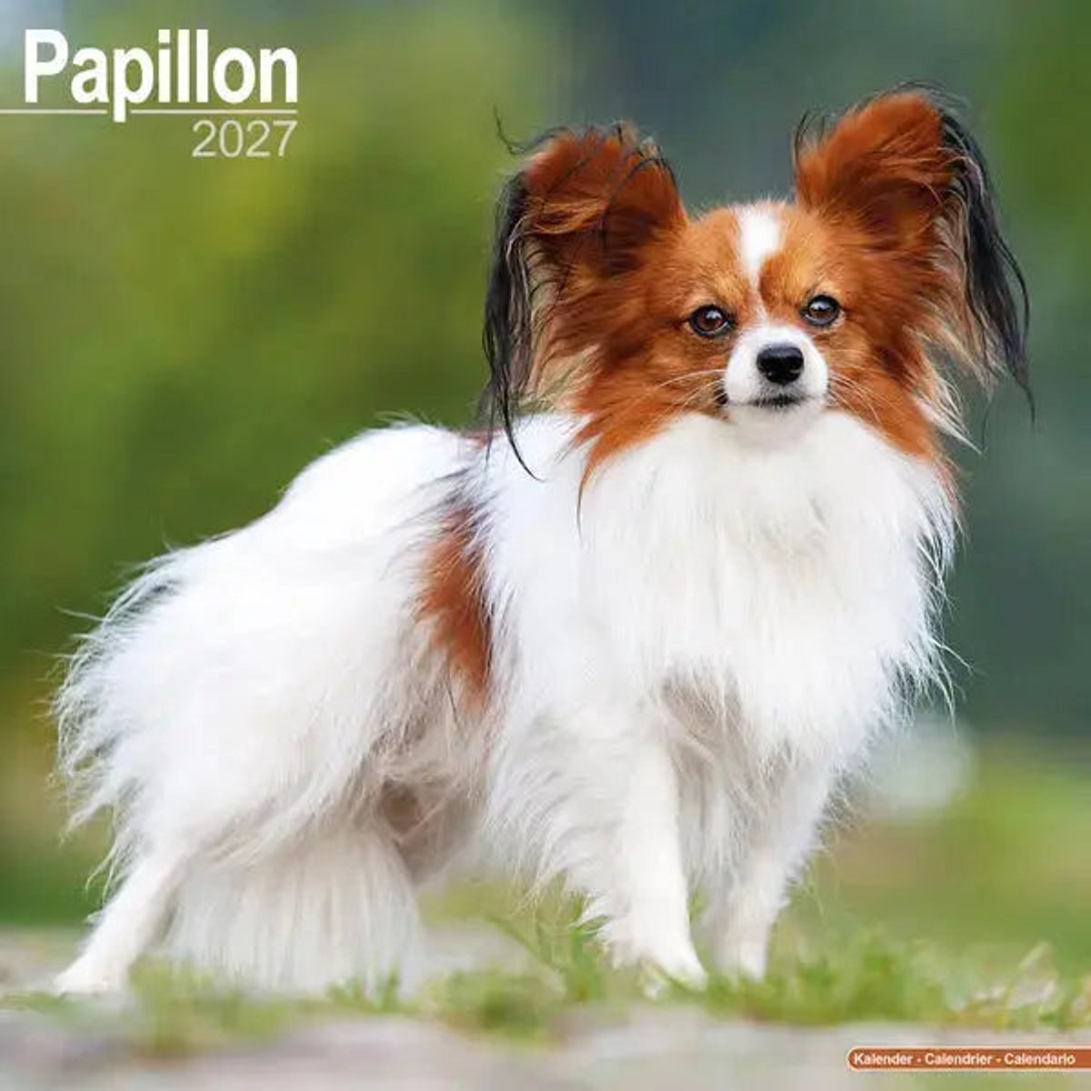 Avonside papillon kalender 2027