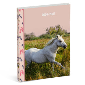 Amazon-Schulagenda 2026 2027 – weißes Pferd