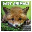 Tl turner baby animals kalender 2027