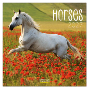 Korsch verlag paarden kalender 2027