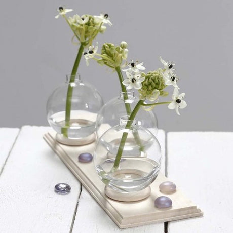 Https: www.cchobby.nl ring-wood-d-55-mm-6-piece-1-box