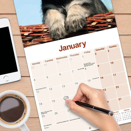 Avonside schnauzer kalender 2027