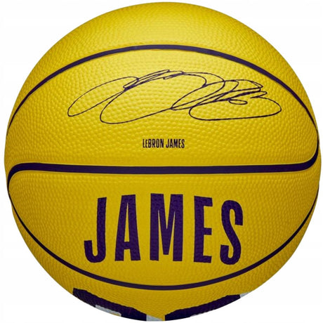 Wilson nba lebron james mini basketbal maat 3 - pictogram voor officiële speler
