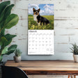Browntrout welsh corgi kalender 2026