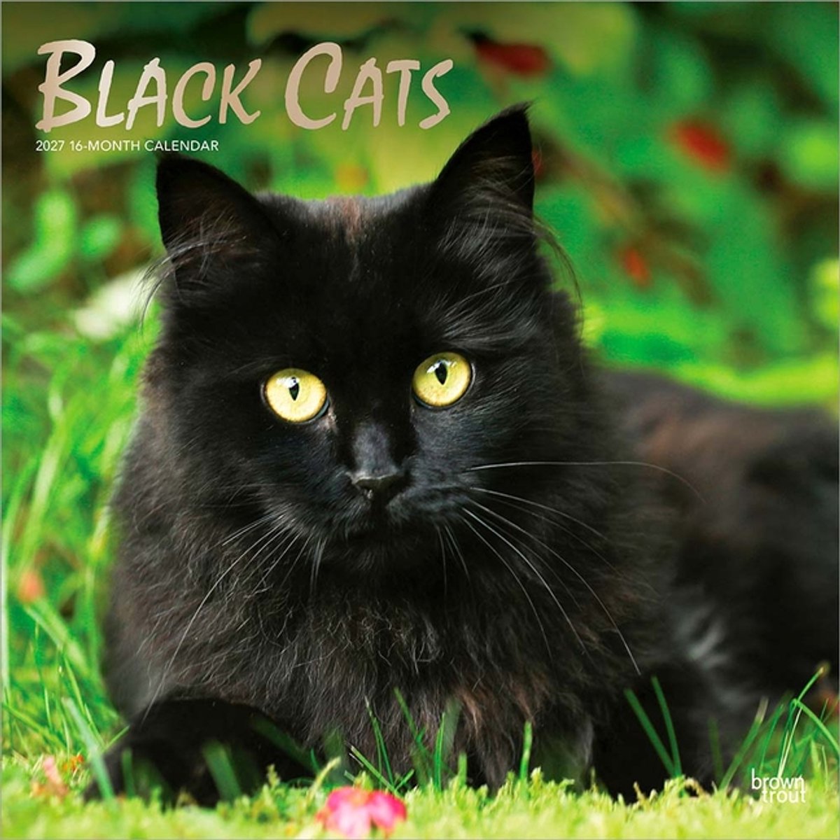 Browntrout zwarte katten kalender 2027