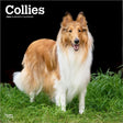 Browntrout schotse herder collie kalender 2026
