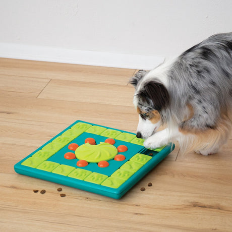 Nina Ottosson Multipuzzle blau