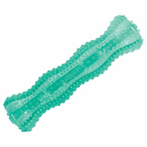 Kong Squeezz Dental Stick Mintgrün – Standardtitel