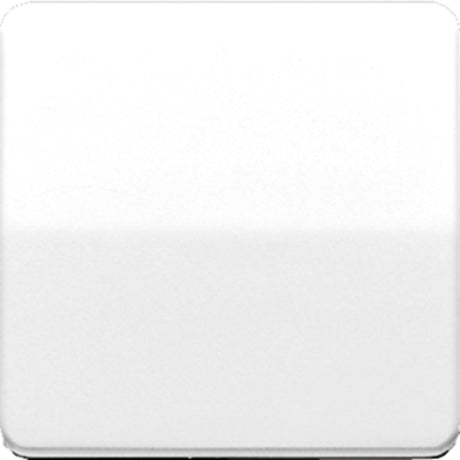 Jung cd500 schakelelement centrale plaat - cd590 - e2v2u