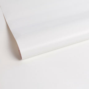 D-c-fix frost raamfolie - 67,5x150cm - melkglas - uni - statisch