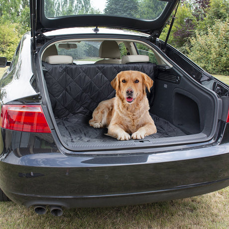 Duvo plus bequeme Kofferraumschutzdecke für Hunde – wasserabweisend reißfest mit Aufbewahrungstasche – 147 x 120 cm – schwarz