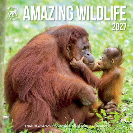 Plenty gifts amazing wildlife kalender 2027