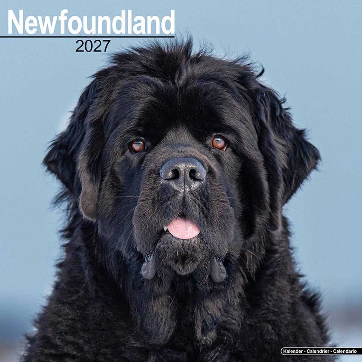 Avonside newfoundlander kalender 2027