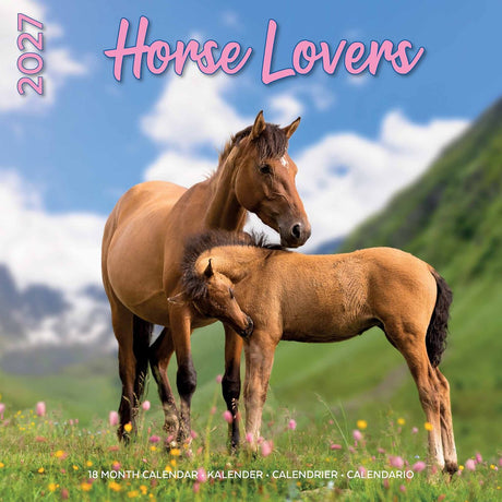 Plenty gifts paarden kalender 2027