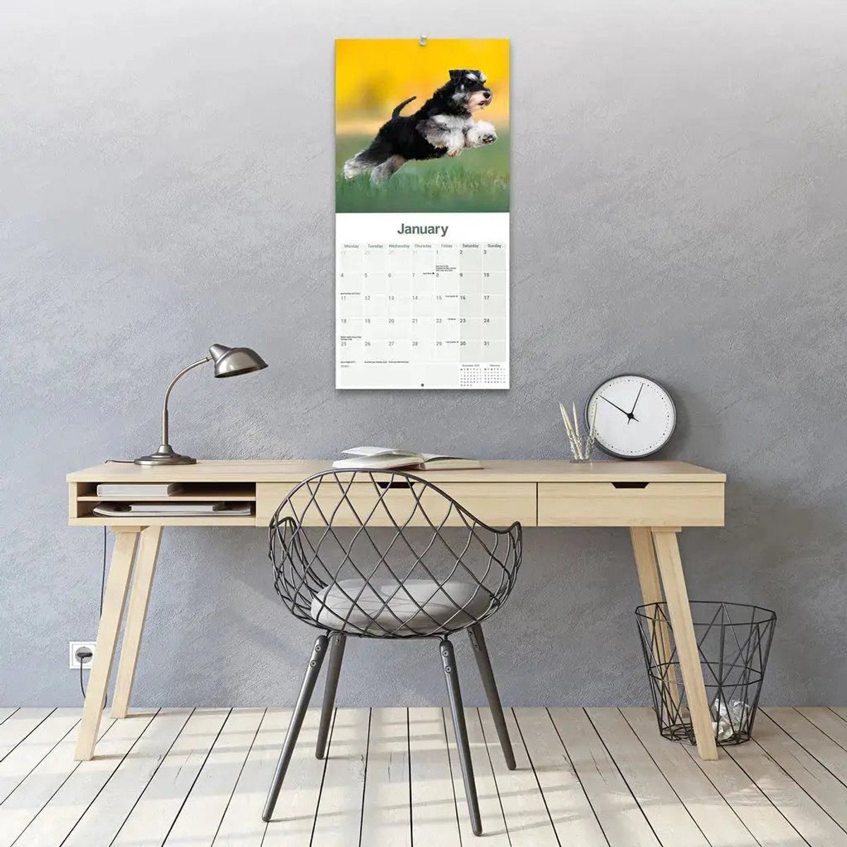 Avonside miniatuur schnauzer kalender 2027
