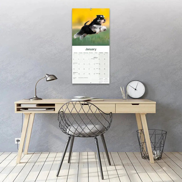 Avonside miniatuur schnauzer kalender 2027