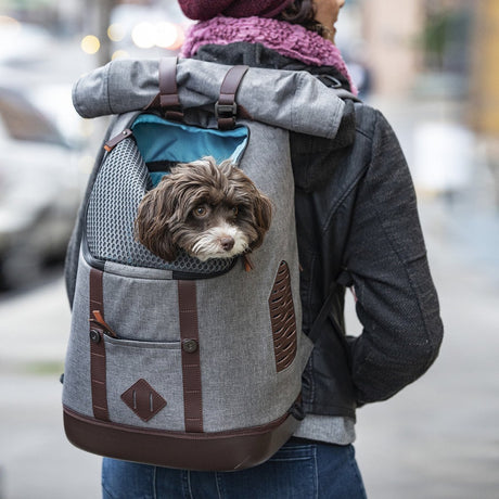 Kurgo Rucksack grau braun