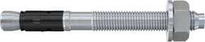 Fischer 564579 faz ii plus 10 10 boutanker 95 mm 10 mm 50 stuk(s)
