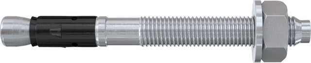 Fischer 564579 faz ii plus 10 10 boutanker 95 mm 10 mm 50 stuk(s)