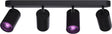 Calex Smart Deckenleuchte – 4-flammig – Smart Aufbaustrahler – oval – Schwarz