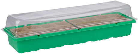 Kinzo kweekbak - kweekset met mini kas en transparante kap - propagator met 2x 8 zaaipotjes - kweekkas met diepe bak voor goede irrigatie - zaaibak ca. 54 x 17 x 13 cm
