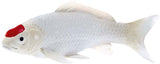 Mojo Sealife Koi-Karpfen – Tancho Koi – 381101