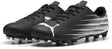 Puma Attacanto II FG AG Herren Sportschuhe - Schwarz-Weiß