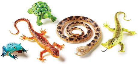 Lernressourcen Jumbo-Reptilien und Amphibien – 3+