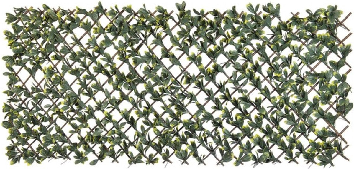 Nature Latwerk mit Kalifornien Liguster Green und Yellow Blade 90x180 cm