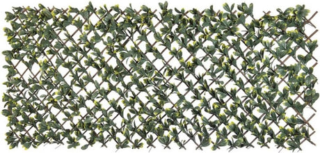 Nature Latwerk mit Kalifornien Liguster Green und Yellow Blade 90x180 cm