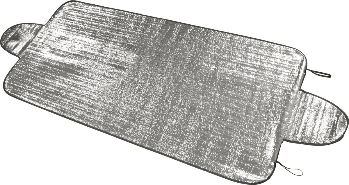 Carpoint Anti-Eis-Abdeckung 255 x 100 cm LKW
