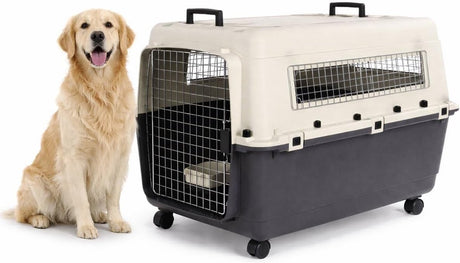 Flamingo reisbench hond – autobench – transportbox hond – fomad donkergrijs xl (60x90x68,5 cm) – kunststof – met metalen deur veiligheidsslot – inclusief eet- en drinkpot wielen –