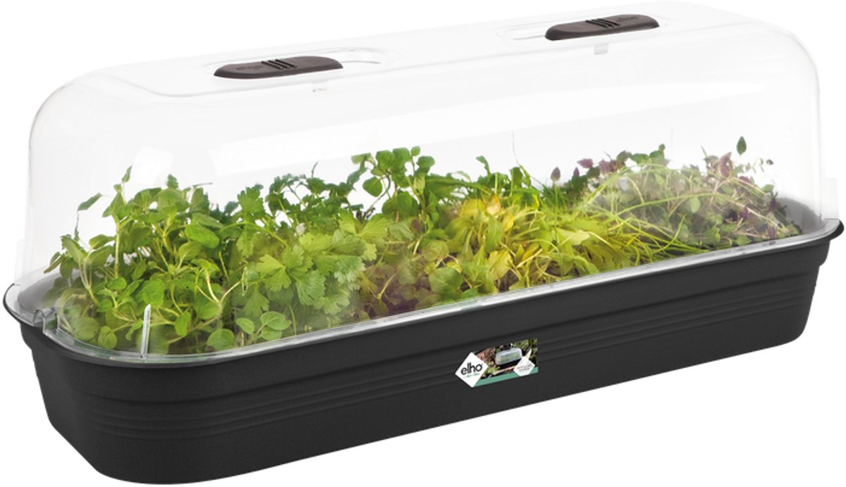 Elho green basics kweektray 51 - binnen en buiten - kweken en oogsten - ø 51.5 x h 7.5 cm - living black